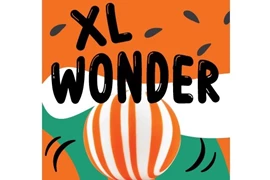 Tiny Toy - XL Wonder Watermelon Ball