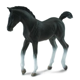CollectA-Tennessee Walking Horse Foal Black