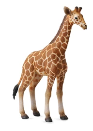 CollectA - Reticulated Giraffe Calf