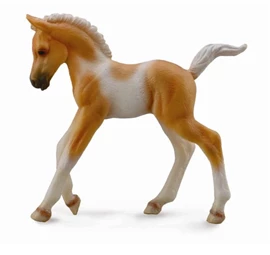 CollectA - Pinto Foal Walking -Palomino