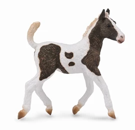 CollectA - Curly Foal