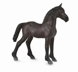 CollectA - Friesian Foal - Black