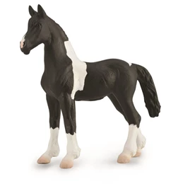 CollectA - Barock Pinto Foal