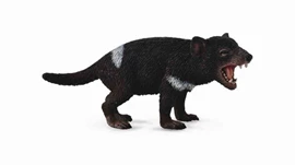 CollectA-袋獾 (塔斯馬尼亞惡魔)