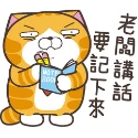 白爛貓系列