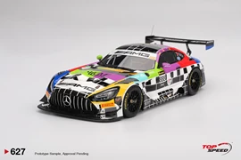 Mercedes-AMG GT3 EVO #888 Mercedes-AMG Grouppem 
2025 Bathrust 12 Hr