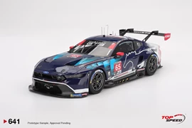 Ford Mustang GT3 #65 Ford Multimatic Motorsports 
2025 IMSA Daytona 24 Hrs Class Winner