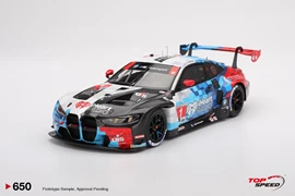 BMW M4 GT3 EVO #1 Paul Miller Racing 
2025 IMSA DAYTONA 24Hrs