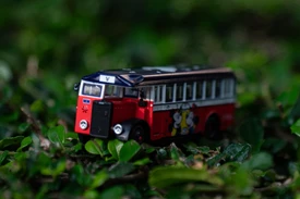 迪士尼 - 香港單層巴士 x 米奇&米尼 (黑色)