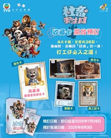 社畜求生101 收集卡(原盒)
