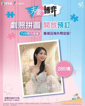 Tiny Memory - TVB: Marital Game - Jigsaw Puzzle Style F (285pcs) - Completed
