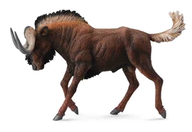 CollectA-Black Wildebeest