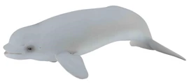 CollectA-Beluga Calf