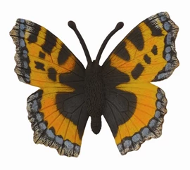 CollectA - Small Tortoiseshell