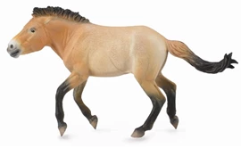 CollectA - Przewalski Stallion