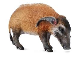 CollectA-Red River Hog