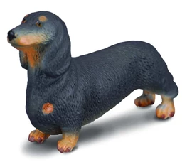 CollectA-臘腸犬