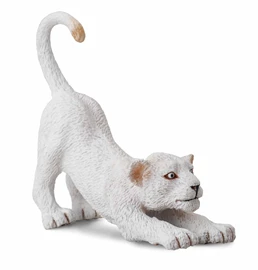 CollectA-幼白獅-伸腰
