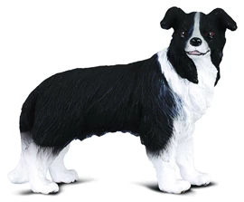 CollectA-邊界牧羊犬