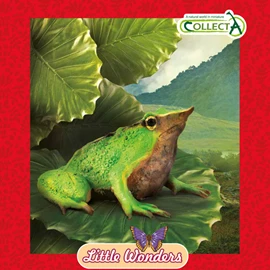 CollectA - Little Wonders Series