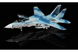Calibre Wings 1/72 F-14A NFWS/NSAWC TopGUN ‘SPLINTER’ BuNo 161869