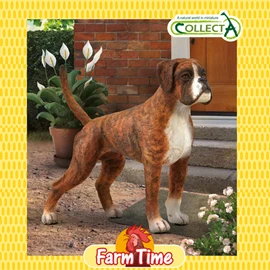 CollectA - Farm Time Series