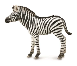 CollectA-Zebra Foal
