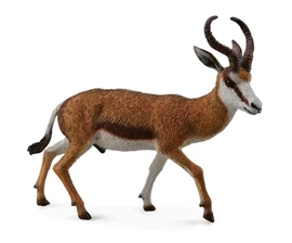 CollectA-Springbok